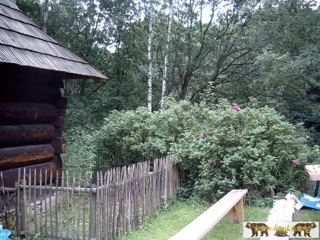 2004NS 46