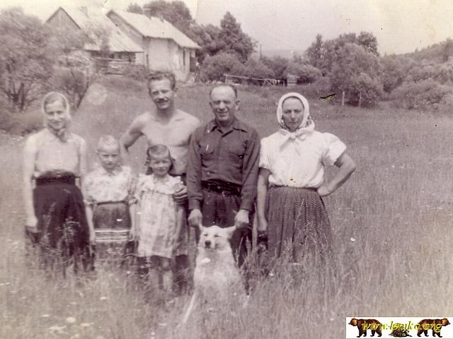 Radocyna 13