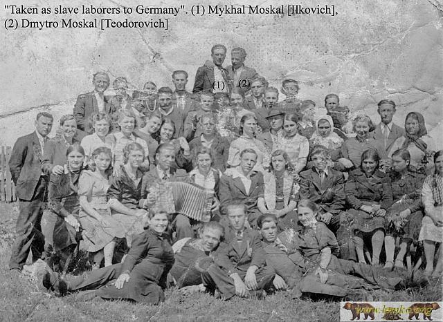 Wysowa 17
