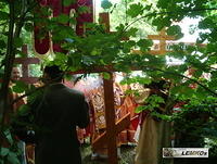 2004 75