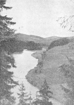Лемківська ріка Попрад коло Жеґестова Живця, на т. зв. „Лопатї„