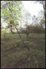SHCHERBANIVKA
