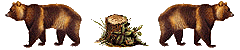 bear