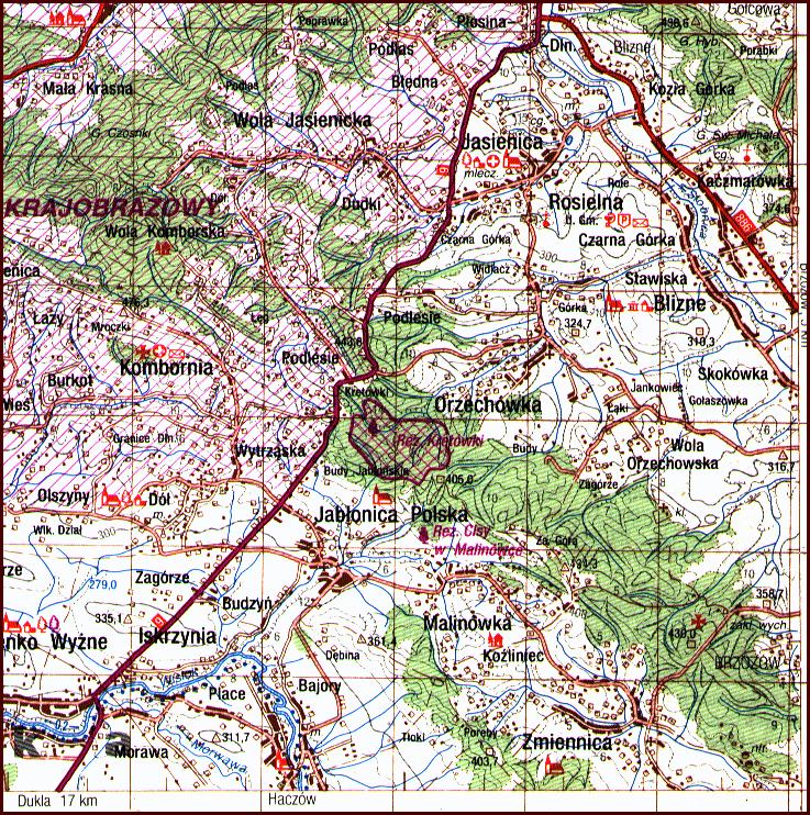 Click page border to view an adjacent page