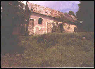 ZHERNYTSYA NYZHNYA

